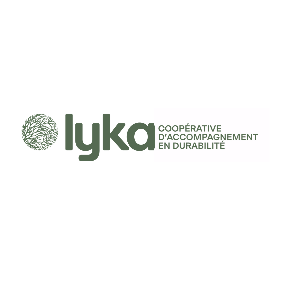 Lire la suite à propos de l’article LYKA – COOPERATIVE lausannoise de conseil en durabilité