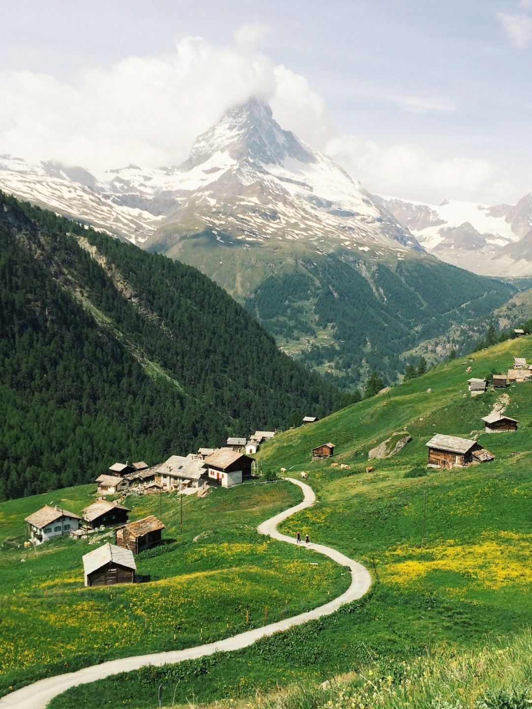 Montagne Suisse
